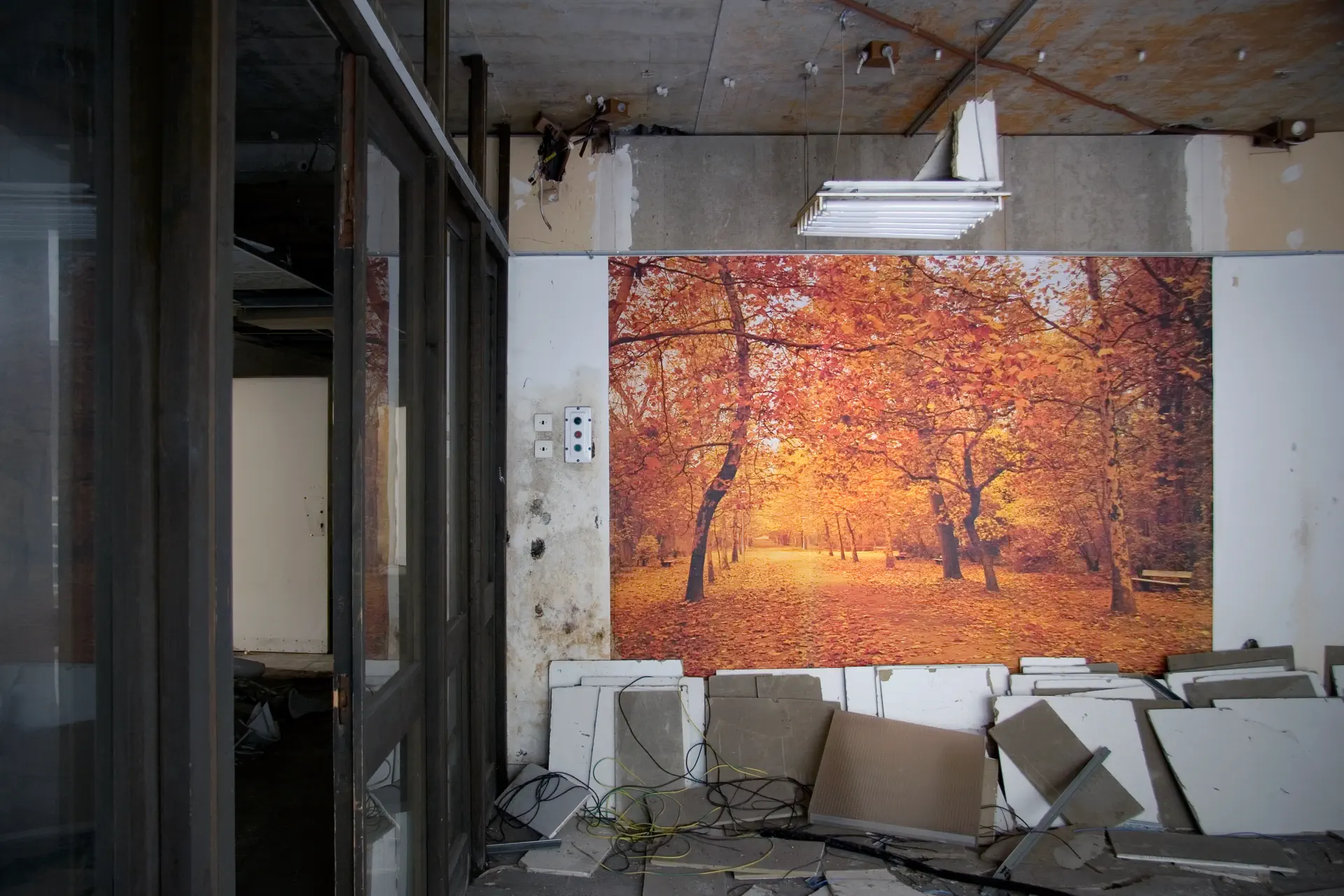 Dilapidated room, with wallpaper depicting autumn landscape.