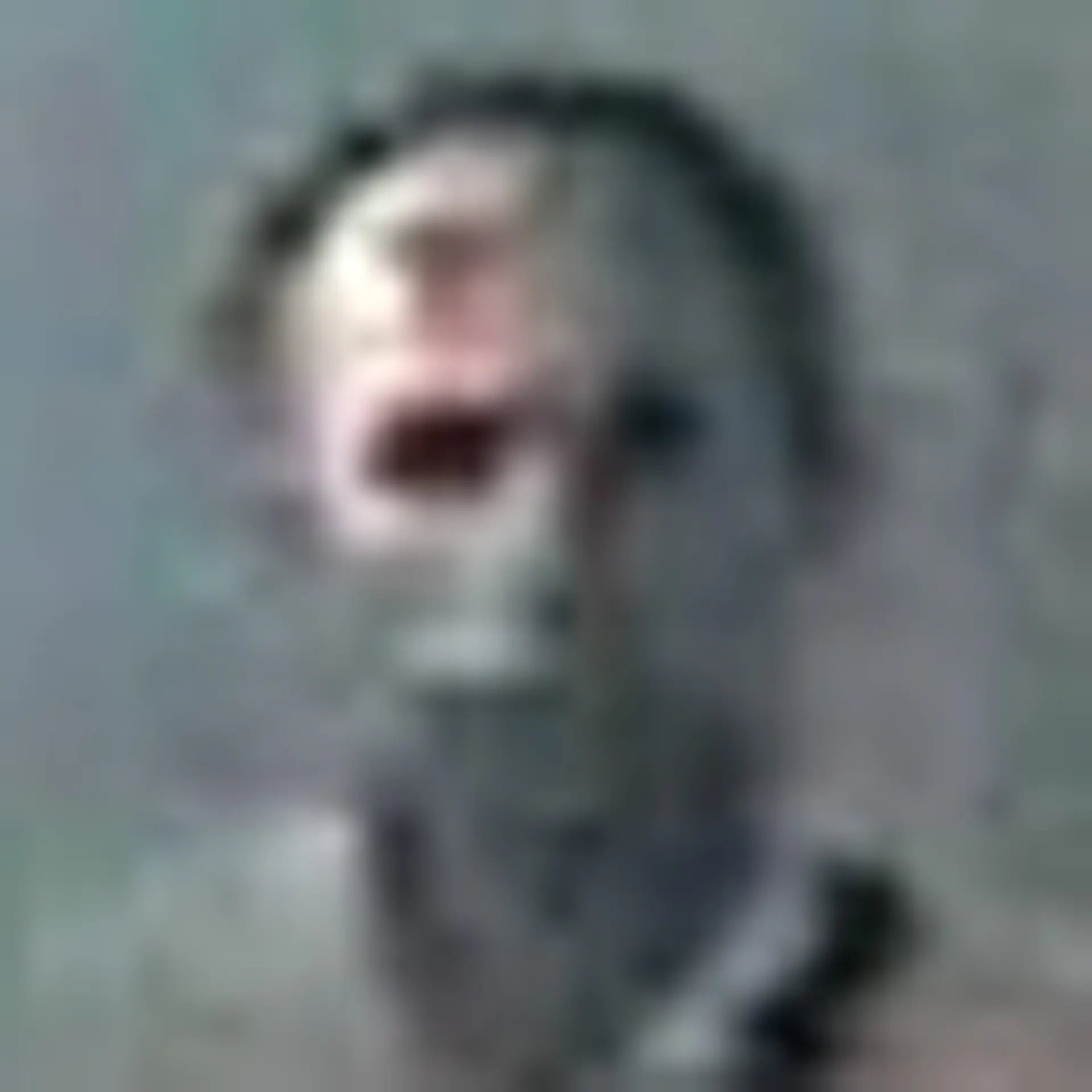 Portrait cut from security camera footage.